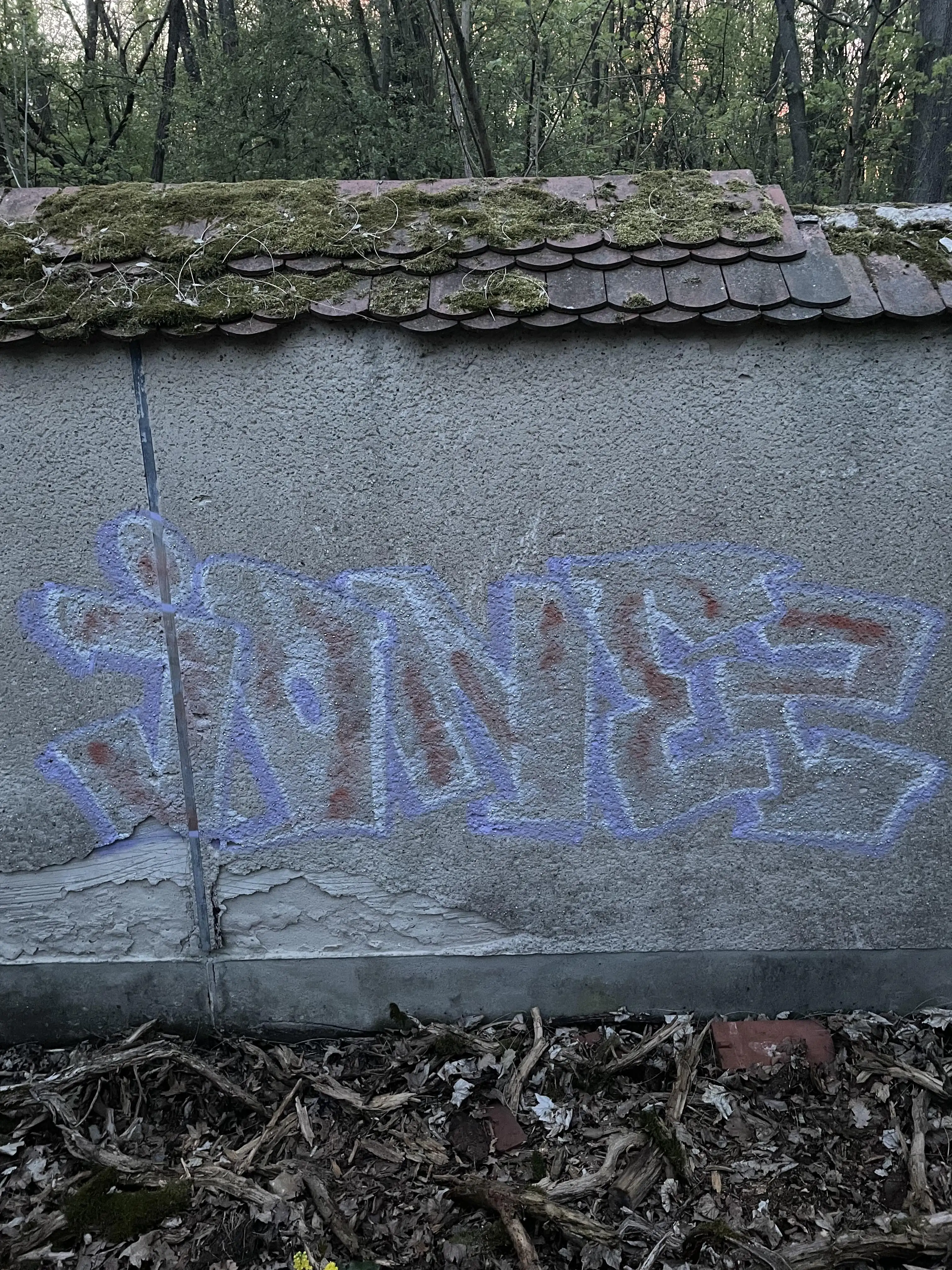 freakyjonez
