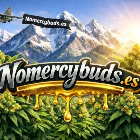 Nomercybuds