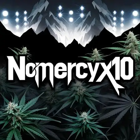NoMercy_x10