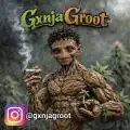 GxnjaGroot
