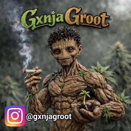 GxnjaGroot