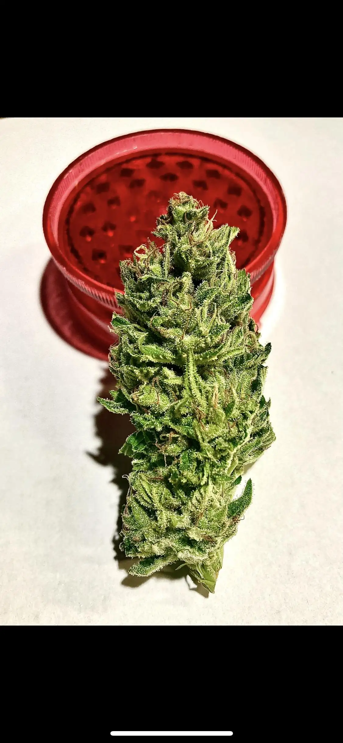 MaxWax
