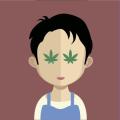 Manyfarm6