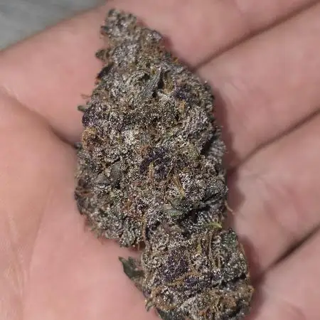 420Hunter