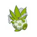Mr_Boris