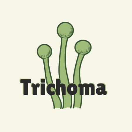 Trichoma