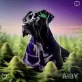 New_green_grower