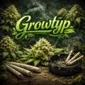 Growtyp