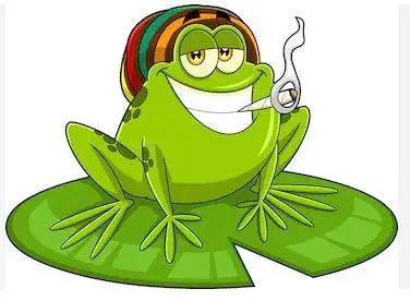 BigFrog