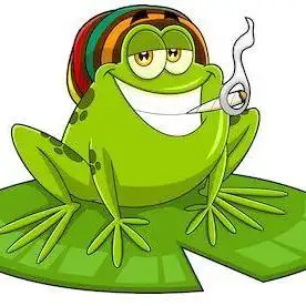 BigFrog