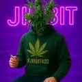 JiBBiT420