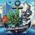 elbkushkante040