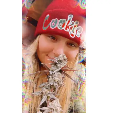 Cannabees_grows7691