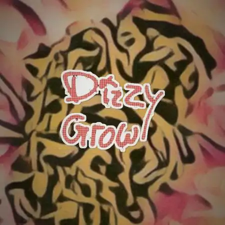 DizzyGrow