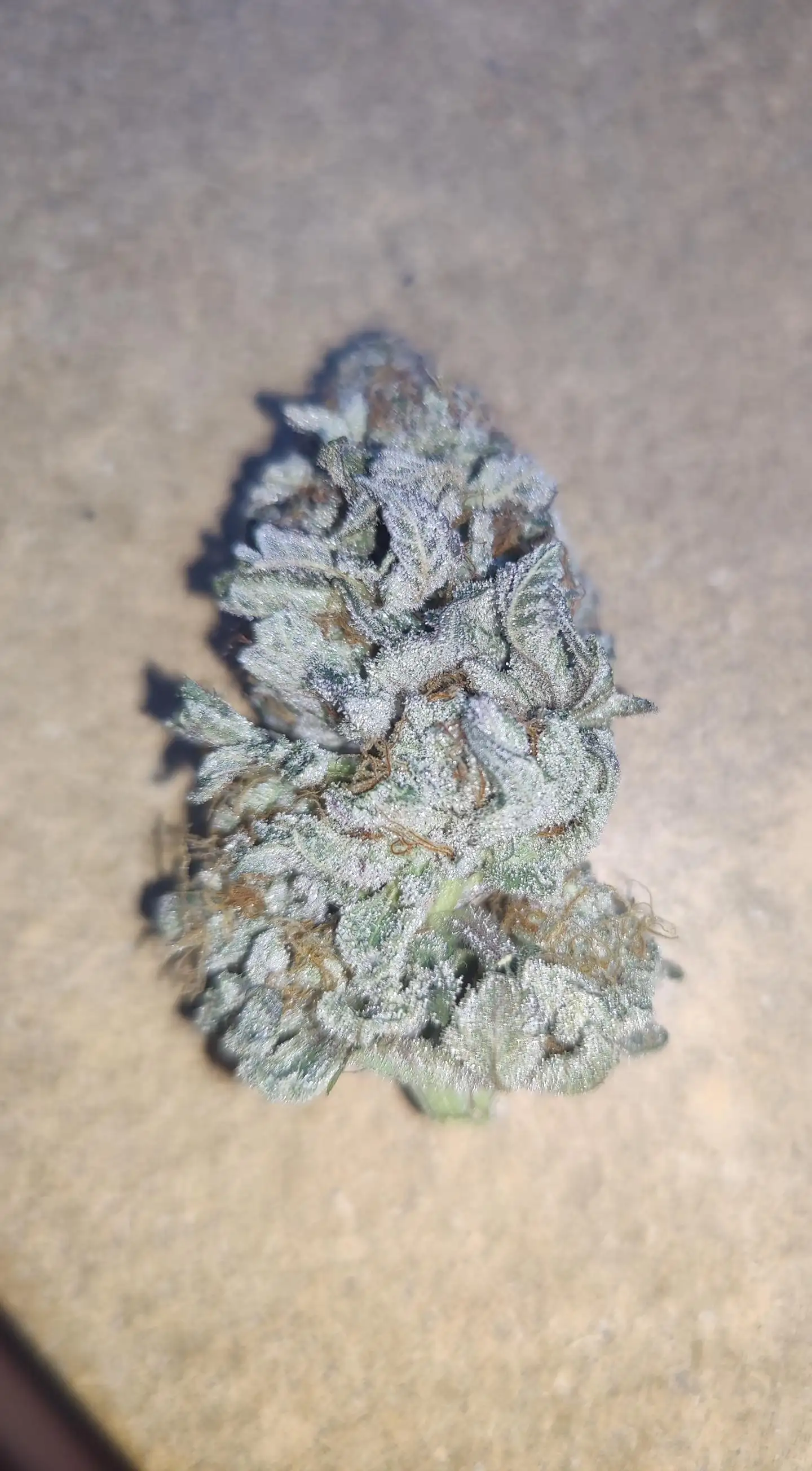 420-Grow