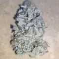 420-Grow