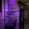Growcaine