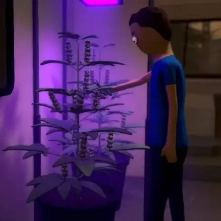 Growcaine