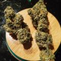 Caliexpress