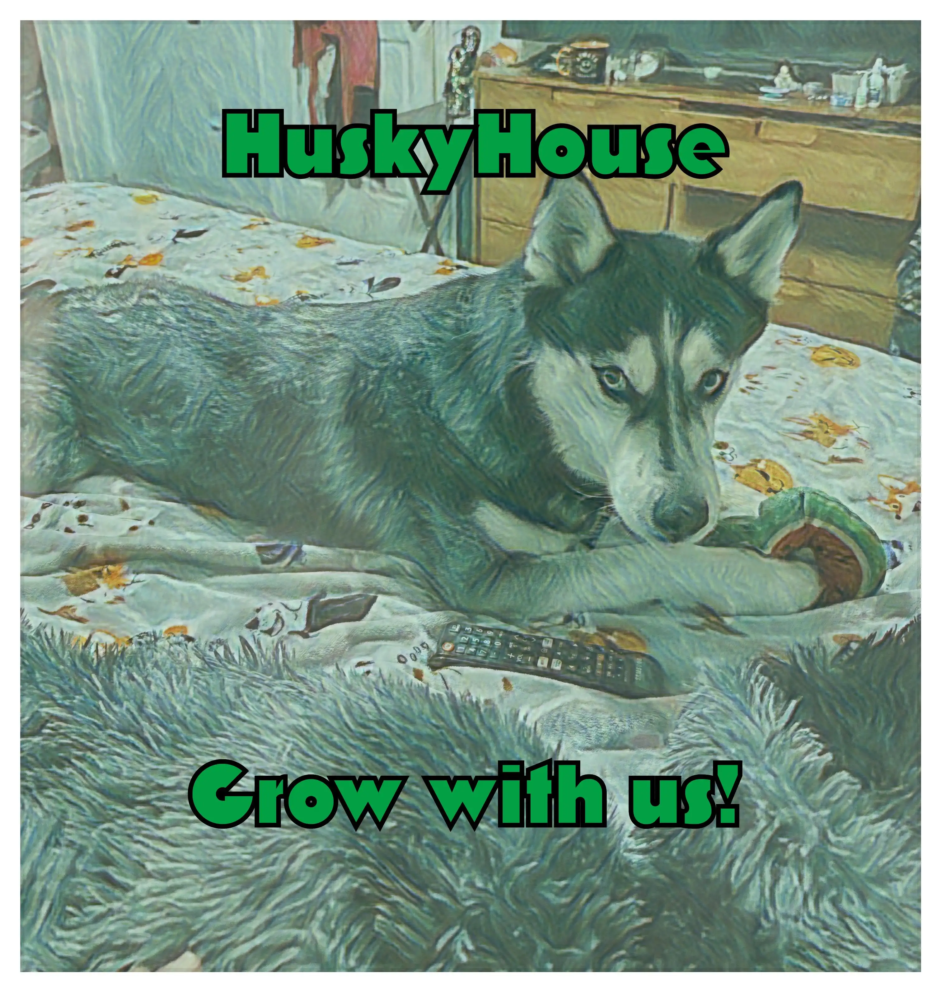 HuskyHouse
