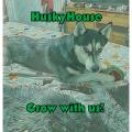 HuskyHouse