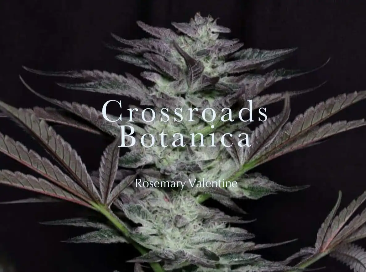 crossroadsbotanica