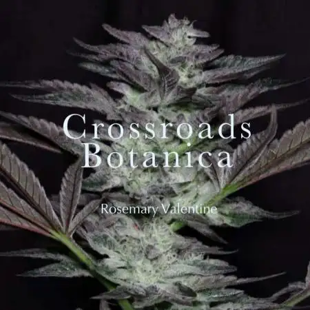 crossroadsbotanica