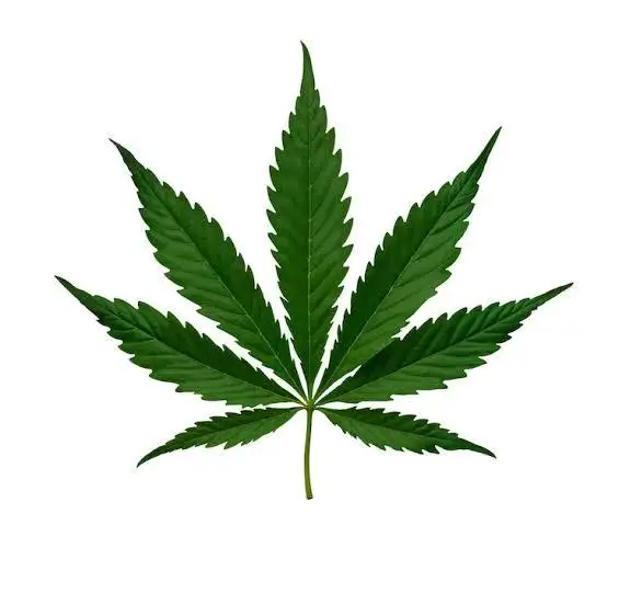 Cultivador_Grower