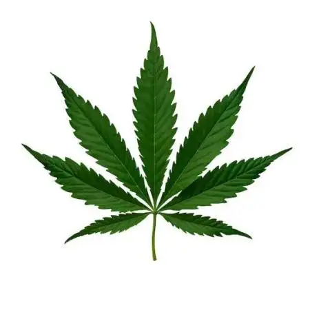 Cultivador_Grower