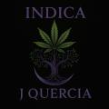 IndicaJQuercia