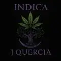 IndicaJQuercia