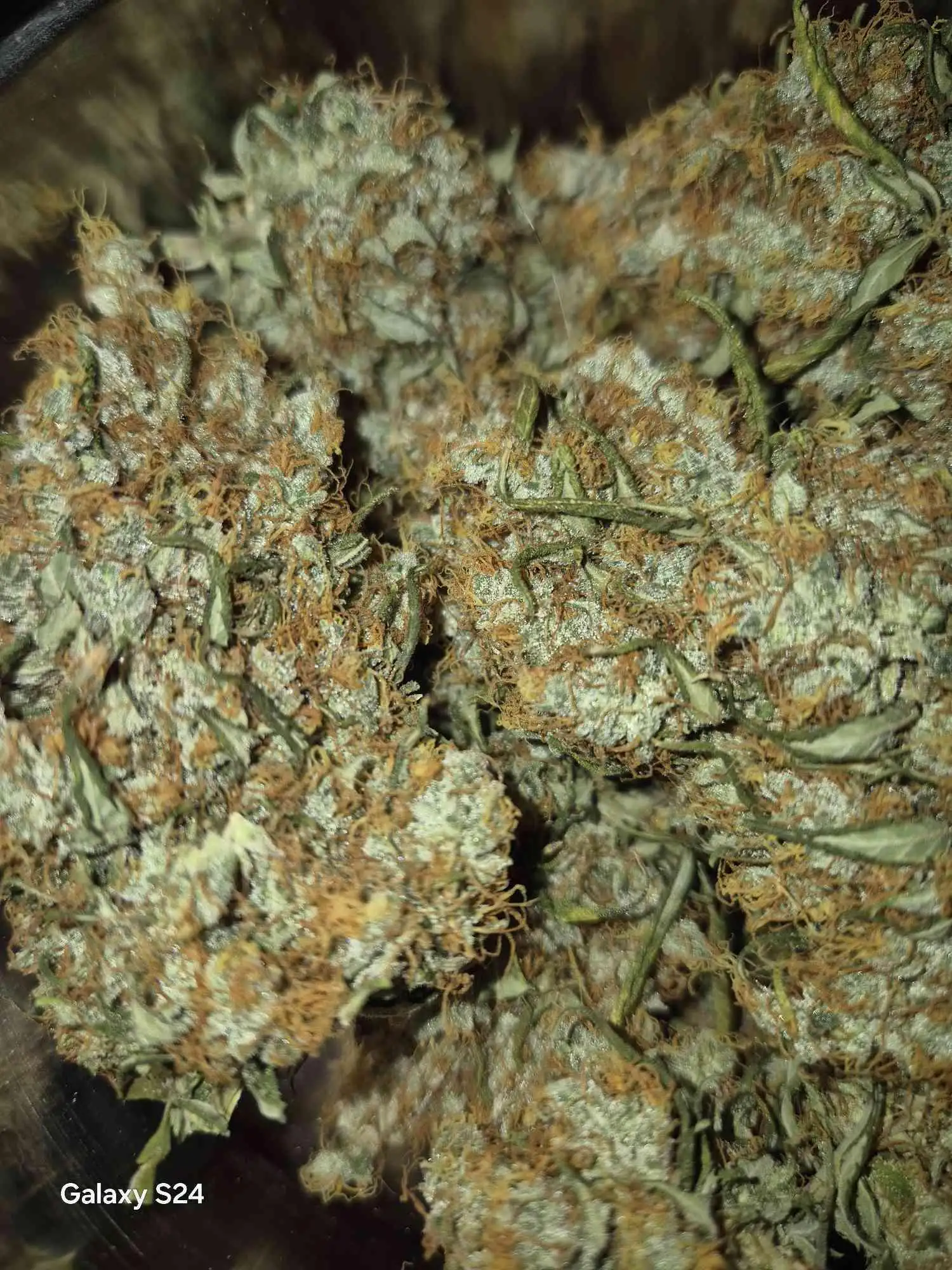 KickSweets