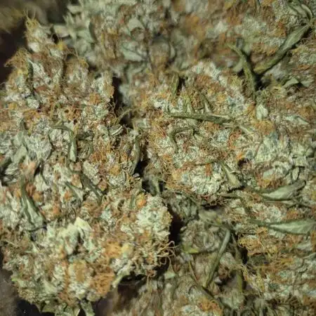 KickSweets