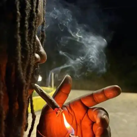 IslandBoyKartel
