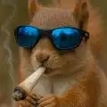 Terpy_squirrel