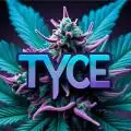 TYCE