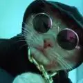 weedoxX