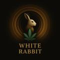 White_Rabbit420