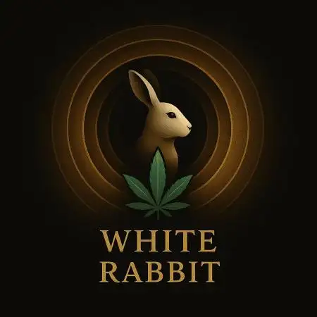 White_Rabbit420