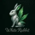 White_Rabbit420