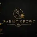 Rabbit_Growt