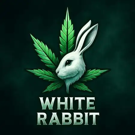 White_Rabbit420