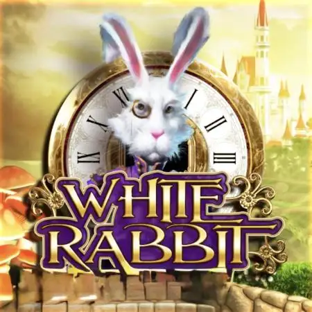White_Rabbit420
