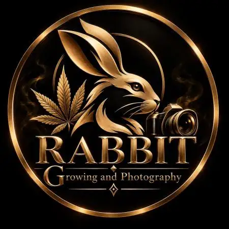 Just_Rabbit