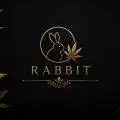 Just_Rabbit