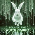White_Rabbit420
