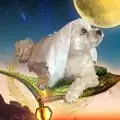 WonderJo