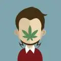 Maconha_legalize