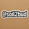 soil2bud