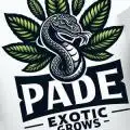 PadeExoticGrows